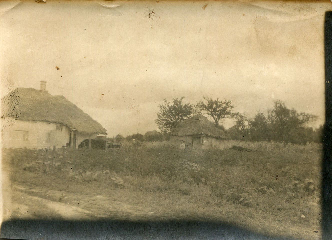 [В Старом Хуторе Валуйского района, © Лилия Михирева, 2020]