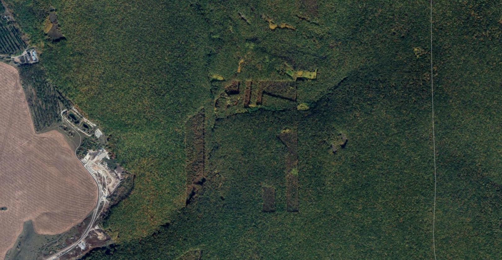 [Современные вырубки леса к северу от Валуек. Вид из космоса. Снимок Google Maps]