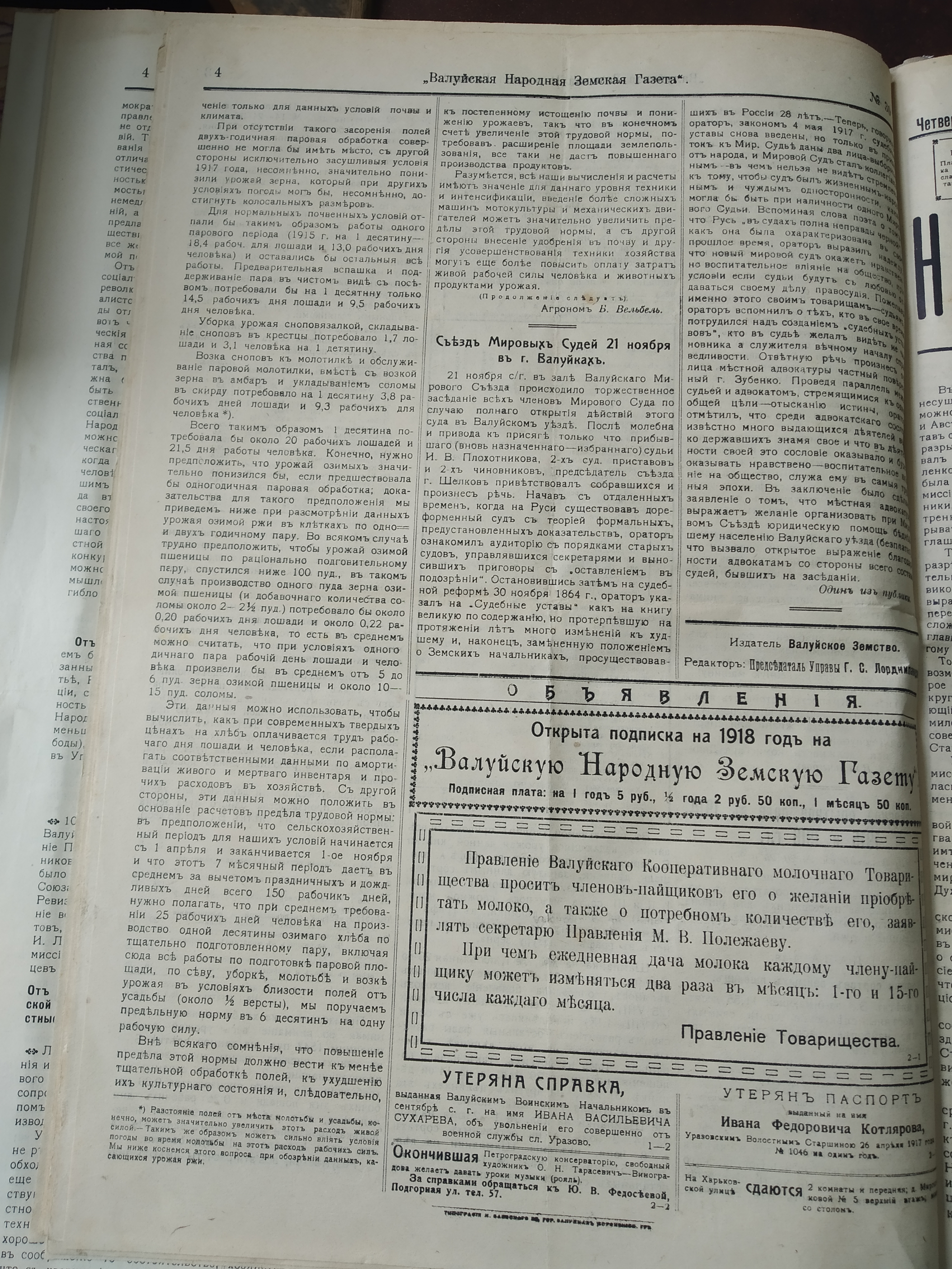 [Валуйская народная земская газета, 1917 год]