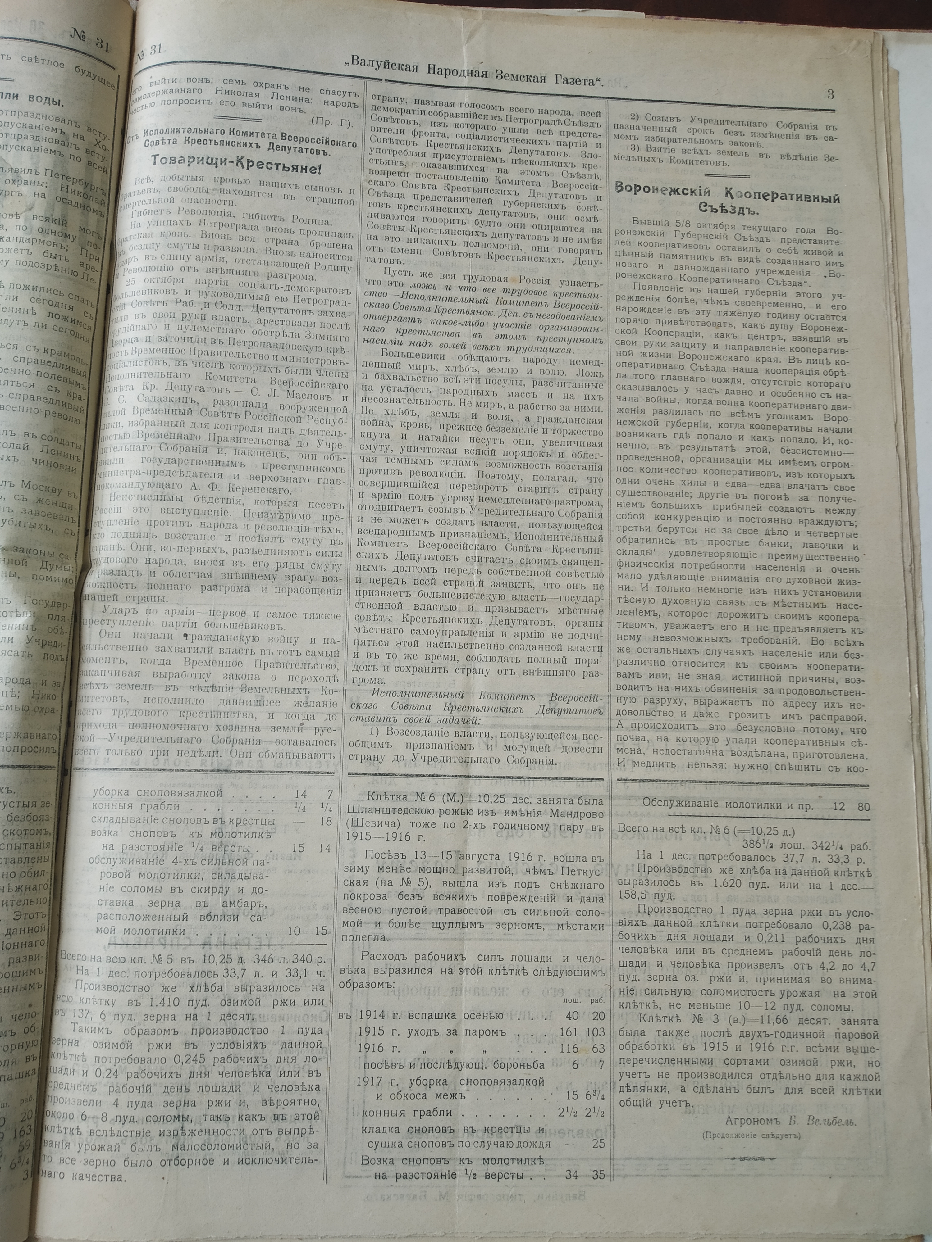 [Валуйская народная земская газета, 1917 год]